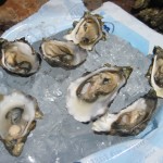 Tomales Bay Oysters on Ice