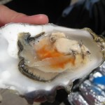 Tomales Bay Raw Oyster Hot Sauce